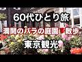 60代【東京観光】ひとり旅🎒旧古河庭園はバラが満開🌹駒込まで散歩🚶♂️ ソロシニアライフ vlog