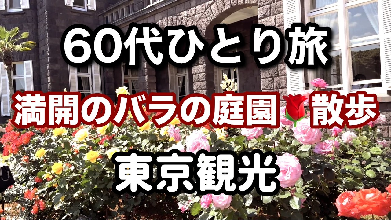 60代【東京観光】ひとり旅🎒旧古河庭園はバラが満開🌹駒込まで散歩🚶♂️ ソロシニアライフ vlog