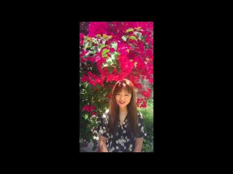 【飯島真理 Mari Iijima Live in Tokyo 2018 Summer Be There】コメントが到着！