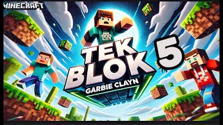 Minecraft:tek Blok Evimizi Yaptık