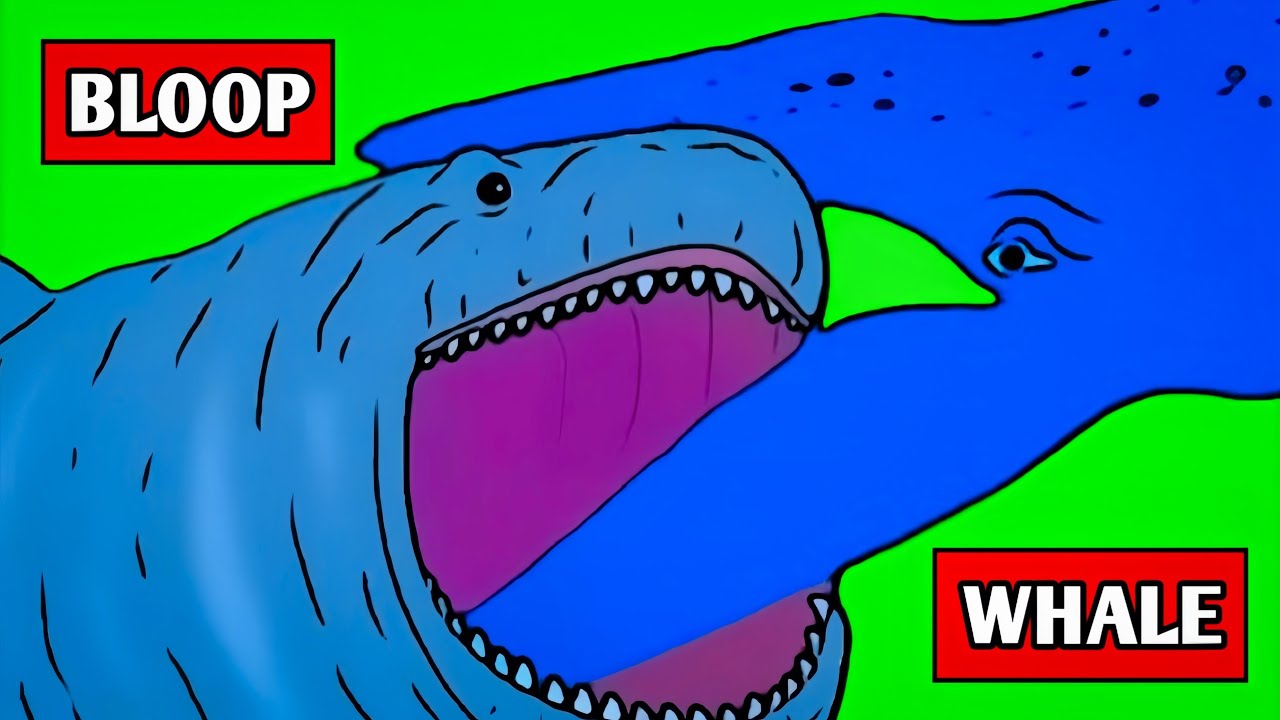 Bloop VS Blue Whale | Size Comparison | 3D Animation 