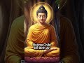Buông Chấp Để Bình An