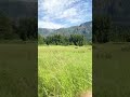 #bachata #fypシ゚viral #nature #mountains #greatpnw #wildlife