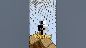 Minecraft, But The World Is TORCH…