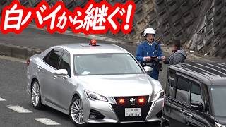 白バイ２台と入れ替わり臨場！場を引き継いだ覆面パトカーが所轄パトカーの傍らで次々と違反車を検挙！【覆面パト・所轄パトによるスピード違反取り締まり】