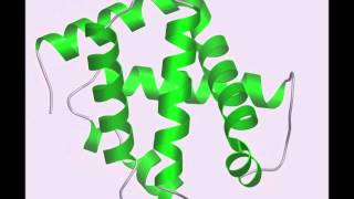 Protein secondary structure