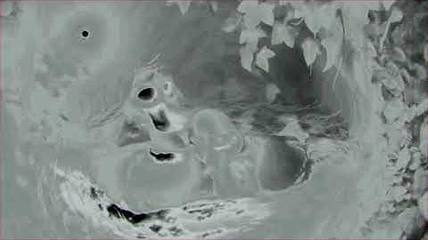 All Preview 2l Effects in RGB & BGR