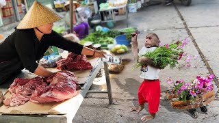 Cutis farmers rickshaw harvest flowers sell buy milk feed poor goat