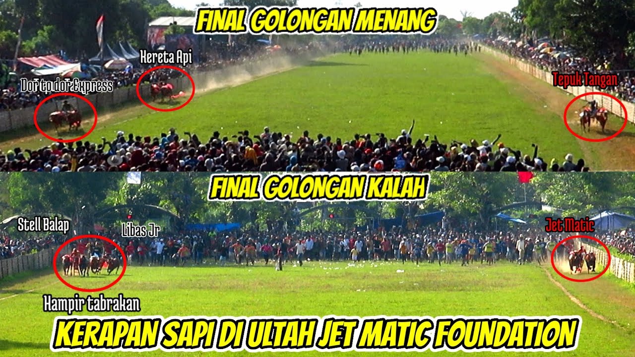 Grand FINAL Kerapan Sapi di HUT JET MATIC FOUNDATION - youtube