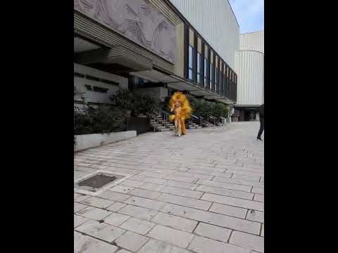 Video Brindisi Teatro Verdi, maschera di carnevale #brindisipuglia #teatroverdi#maschere #carnevale