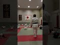 Judo kids practicing breakfalls.