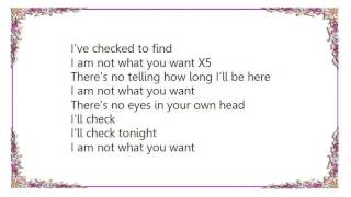 Cat Power - Not What You Want Lyrics