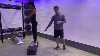 Famous How To: Dumbbell Goblet Reverse Lunge Front Foot Elevated Profile