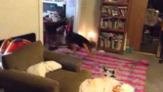 Messy Living Room Tumbling