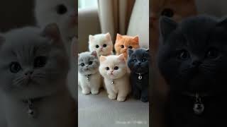 Cute Kitten Healing Cat Who Can Refuse The Stupid Kitten Kitten Kitten Ai 