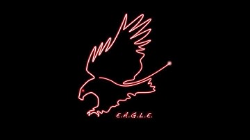 E.A.G.L.E.  - Environmental Aware Gesture Leading Equipment - Bachelor Thesis - 2012