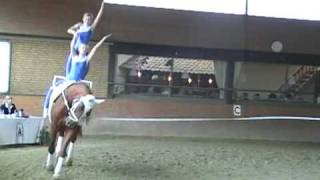 Voltigieren Nordhorn 1. 2008