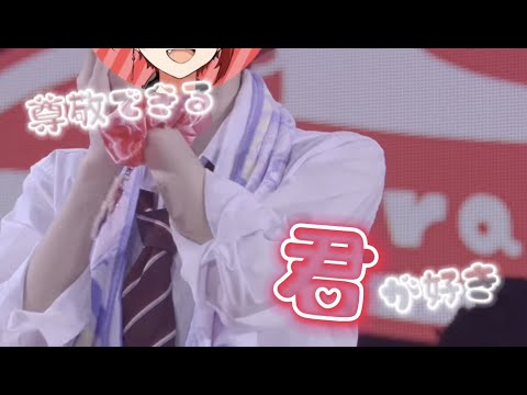 【歌詞動画】アイドルがアイドルに恋しちゃだめですか？【莉犬くん】