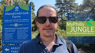 Visiting Meadowbrook Farms | Garden Tour | My Philly Jungle Visiting Meadowbrook Farms | Garden Tour | My Philly Jungle