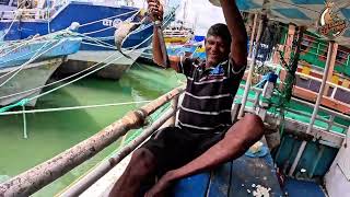 This Beautiful Fish Has A Hidden Danger... You Won't Believe What We Caught!