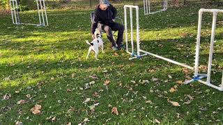 Arrow 101520 static jump commitment