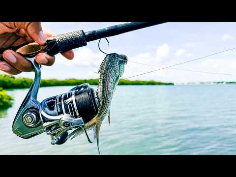 The Biggest Bait I Could Find..The Snook Went Crazy