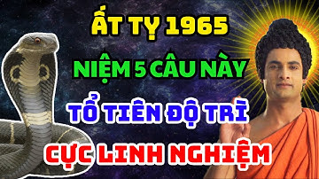 Có Phúc 3 Đời Mới Biết! ẤT TỴ 1965 Niệm 5 Câu Hồi Hướng Linh Nghiệm Giúp Cải Vận Gia Đạo Bình An