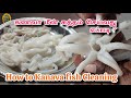 கணவா மீன் சுத்தம் செய்வது எப்படி? / Kanava Fish cleaning in Tamil / Squid Cleaning / Ikan Sotong