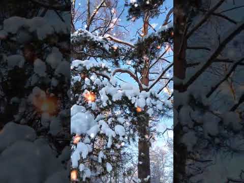 С Наступающим Новым