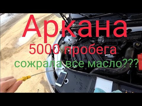 Рено Аркана Renault Arkana жор масла после 5000 км