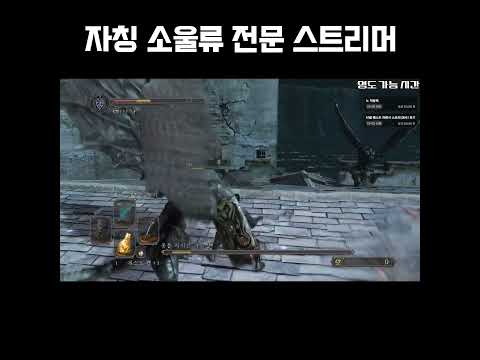 자기가 <strong>소울류</strong> 장인이라는 스트리머의 현실