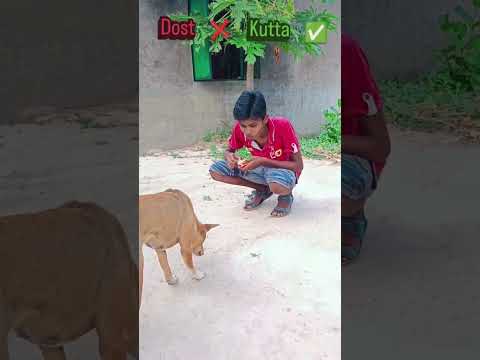 Dost ❌ kutta ✅ 😂😂 #funny #comedy #minivlog