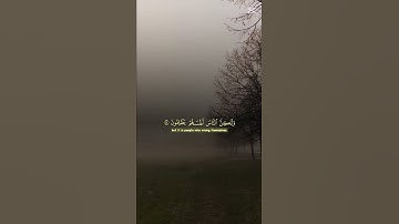 اكتب شيء تؤجر عليه ❤🎧😴 #صوت_جميل #اكسبلور #تلاوة_خاشعة #قرآن #المصحف #راحة_نفسية #لايك