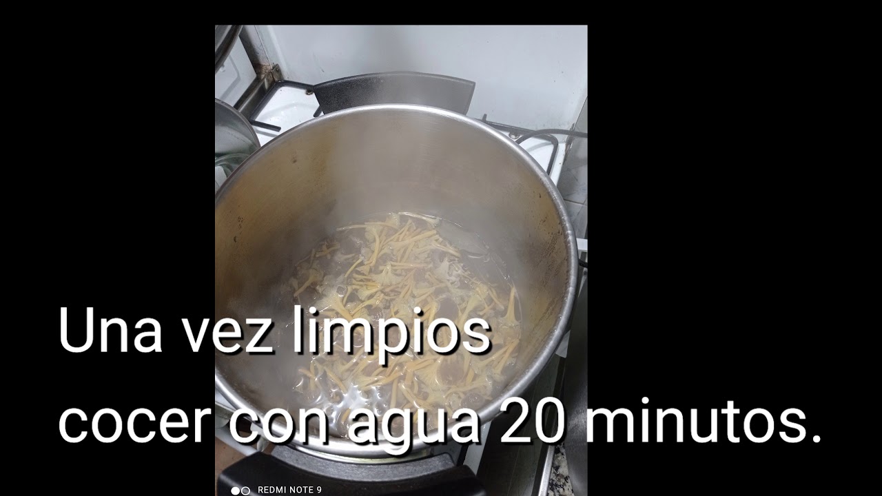 Camagrocs en conserva( trompetas amarillas!!