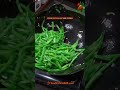 EASY STIR-FRIED GREEN BEAN WITH MEAT RECIPE #recipe #cooking #chinesefood #greenbean #vegetables