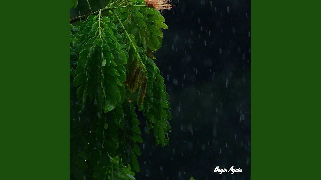 YouTube에서 Begin Again 보기 YouTube에서 Begin Again 보기