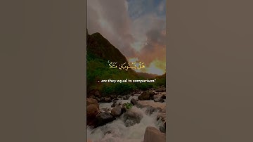 (ضرب الله مثلاً رجلاً فيه شركاء متشاكسون)سورة الزّمر || عبد الشكور الهلال