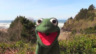 Mr Frog at the Beach