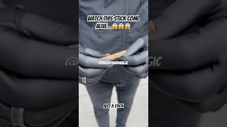 He snapped a stick… and it turned into a real bird. Watch this impossible street magic!