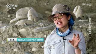 《探索·发现》 20240507 探秘桑达隆果墓地上| 中华国宝