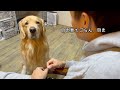 怒られて反省する姿が、完全に親子関係な2人