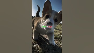 Lenka - Everything At Once (lyrics)-Aesthetic Edit