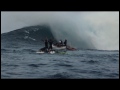 Shane Dorian at Jaws - R.O.T.Y. Entry # 5 - Billabong XXL Big Wave Awards 2013