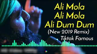 Ali Mola Ali Mola Ali Dam Dam Dj Remix   Dj Hard Bass Special Qawwali   Sultan Ul Qad