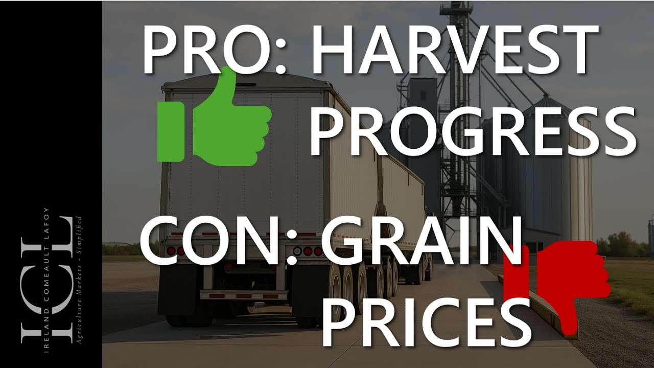 Grain and oilseed markets digest China soybean demand, wheat supplies.  - 9-22-2025