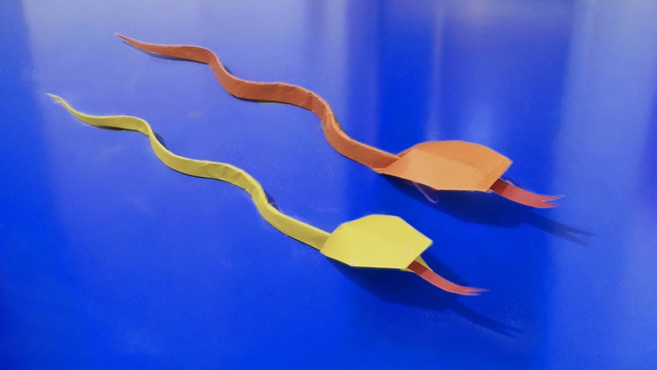 Gấp Con Rắn | Origami Snake | How to make a paper snake