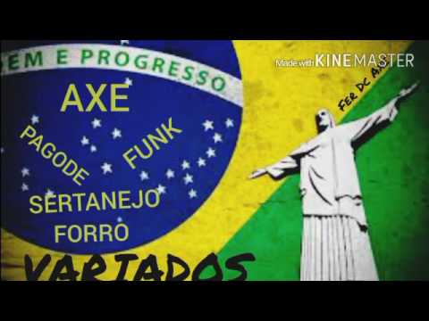 VARIADOS BRASILEROS - YouTube