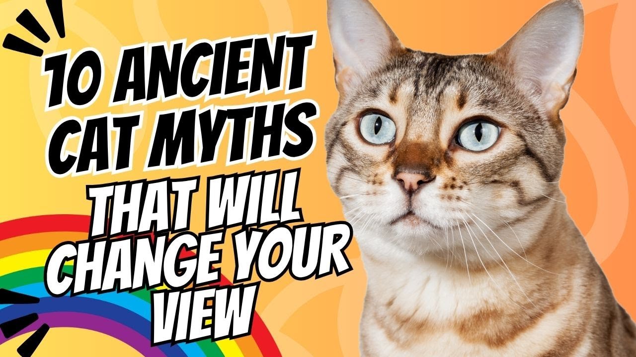 10 Ancient Cat Myths That Will Change How You See Your Pet Forever