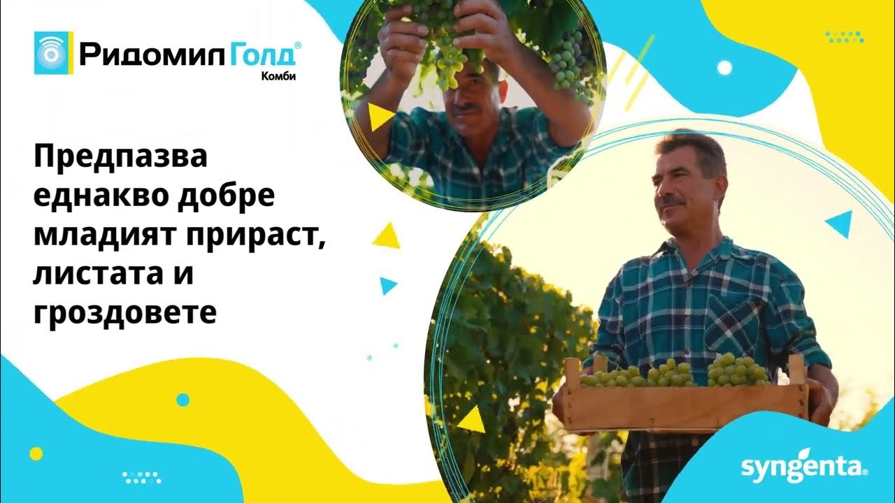 Новият Ридомил Голд Комби - бъдете винаги с предимство при отглеждането ...