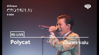 Video voorbeeld van "Polycat - เป็นเพราะฝน (Live) [Fungjai Crossplay B Side Concert]"